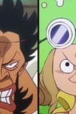 One Piece Season 22 Episode 1118