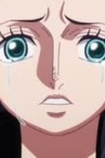 One Piece Season 22 Episode 1096
