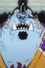 One Piece Season 21 Episode 1041
