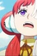One Piece Season 21 Episode 1029