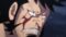 One Piece Season 21 Episode 1006