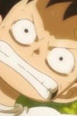 One Piece Season 21 Episode 1030