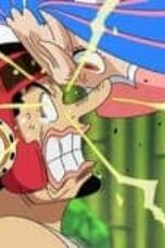 One Piece Season 21 Episode 1008