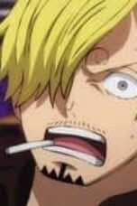 One Piece Season 21 Episode 1011