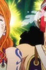 One Piece Season 21 Episode 1031
