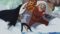 One Piece Season 13 Episode 488