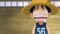 One Piece Season 13 Episode 493