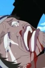 One Piece Season 1 Episode 28