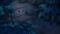 One Piece Season 9 Episode 289