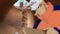 One Piece Season 8 Episode 232