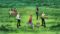 One Piece Season 7 Episode 209