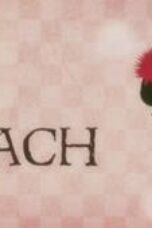 Bleach Season 1 Episode 207