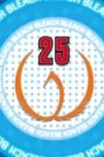Bleach Season 1 Episode 25