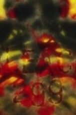Bleach Season 1 Episode 299