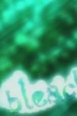 Bleach Season 1 Episode 308