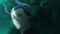 BLACK TORCH Season 1 Episode 11