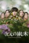 Ichijigen no Sashiki (2026)