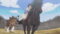 Red River Season 1 Episode 10