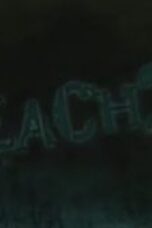 Bleach Season 1 Episode 211