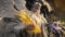 Legend of Immortals Season 7 Episode 11