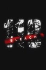 Bleach Season 1 Episode 110